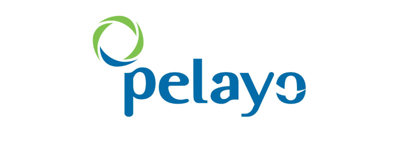 Pelayo Seguros